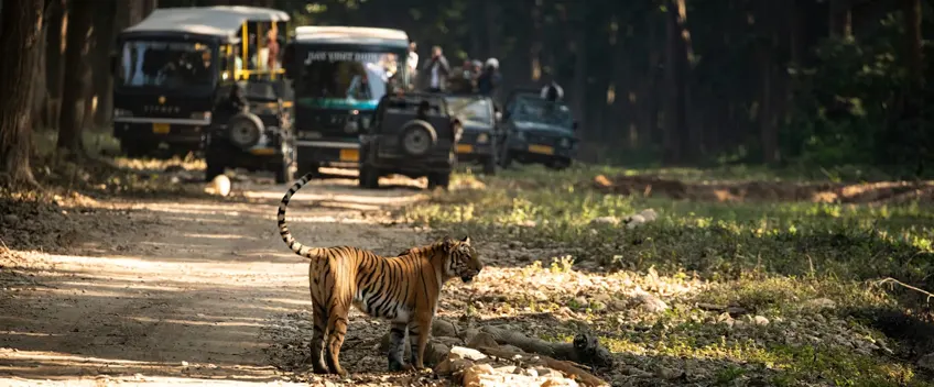 Jim Corbett Car Rental Services