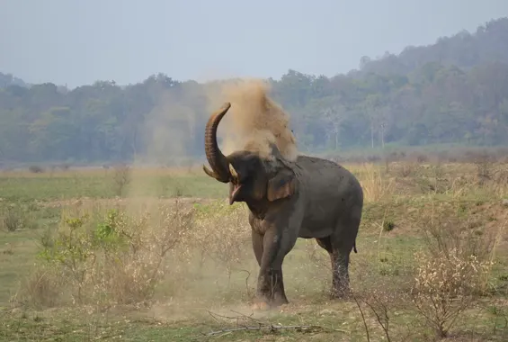 Jim Corbett Car Rental Service